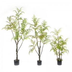 Díol te clorophytum comoosum crann gléasra saorga crann saorga raithneach