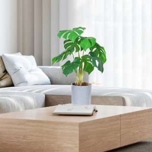 Soláthraíonn an mhonarcha go díreach díol te glas saorga maisiúil le mothúchán deas agus fíor-theagmhálach